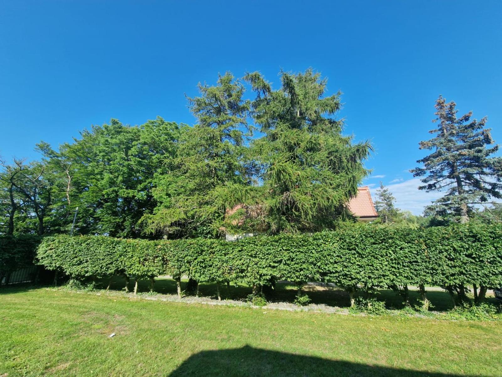 Osrodek Promenada- Domki Villa Jastrzebia Gora Exterior photo